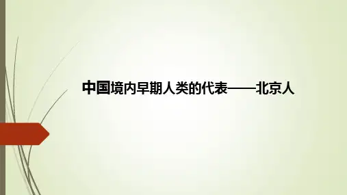 中国境内早期人类的代表北京人 部编版历史优秀课件