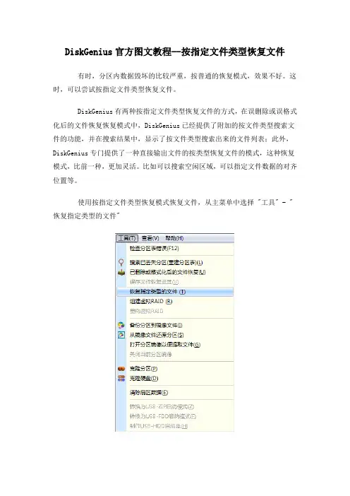 DiskGenius官方图文教程--按指定文件类型恢复文件