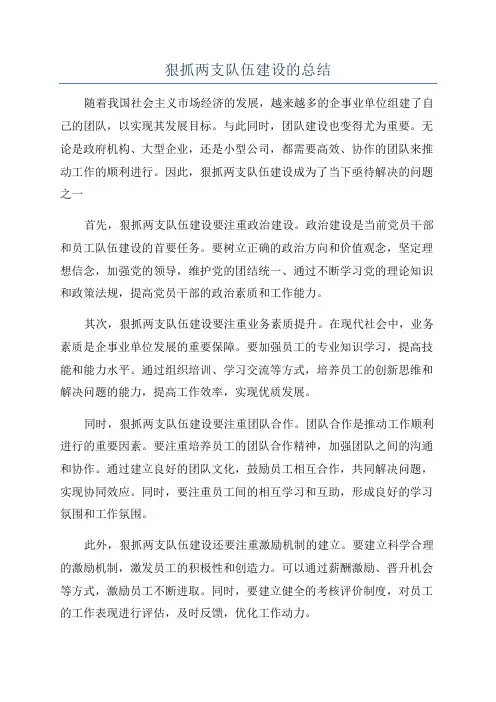 狠抓两支队伍建设的总结