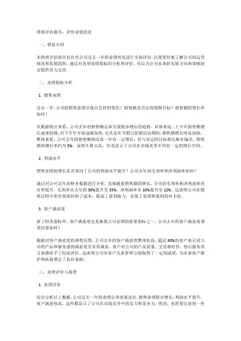 绩效评估报告：评价业绩状况