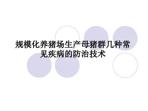 生产母猪群几种常见疾病的防治技术
