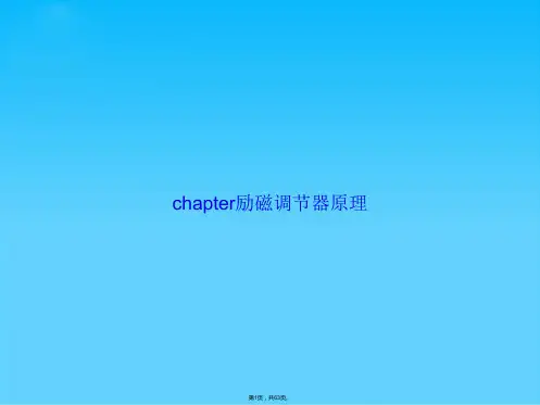 chapter励磁调节器原理(共63张PPT)