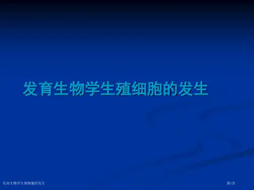 发育生物学生殖细胞的发生