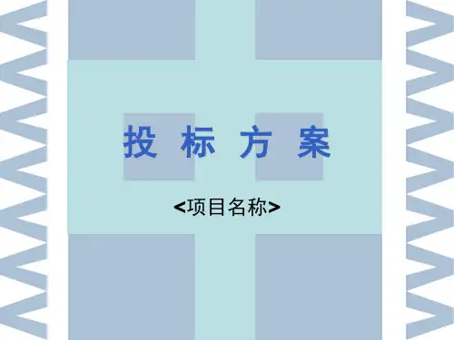 投标方案ppt模板