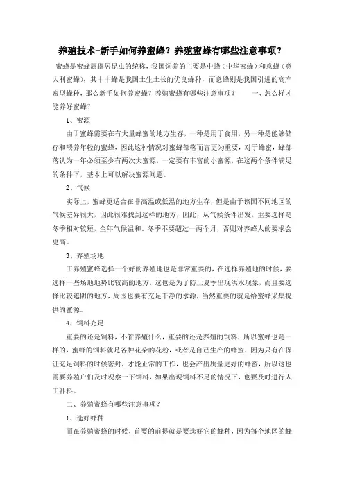 养殖技术-新手如何养蜜蜂？养殖蜜蜂有哪些注意事项？