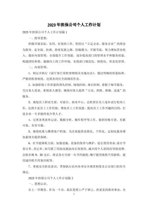 2023年担保公司个人工作计划