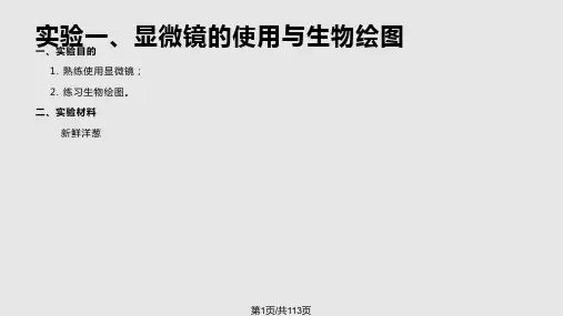 植物学实验PPT课件