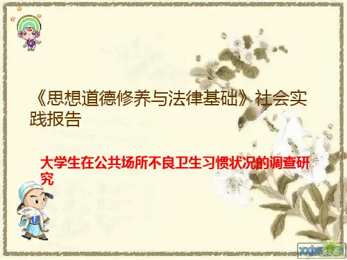思想道德修养与法律基础社会实践报告 PPT课件