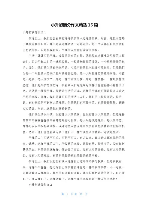 小升初满分作文精选15篇