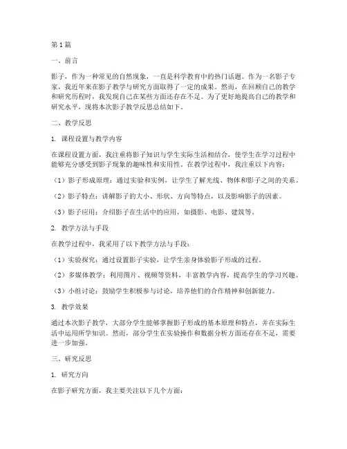 影子专家反思总结报告范文(3篇)