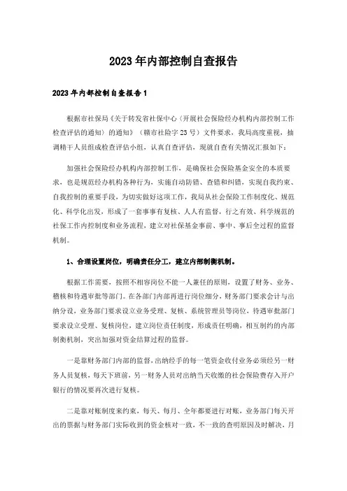 2023年内部控制自查报告
