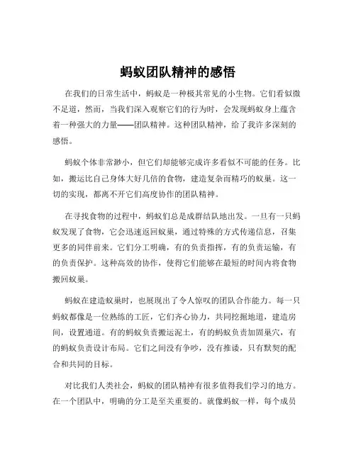 蚂蚁团队精神的感悟