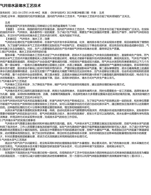 气井排水及堵水工艺技术