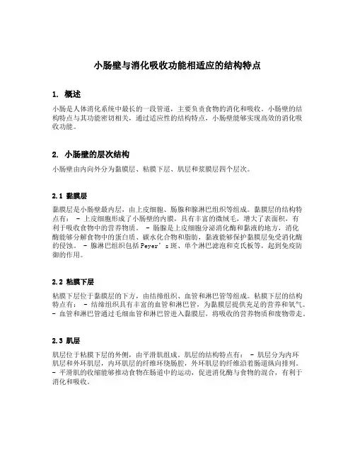 小肠壁与消化吸收功能相适应的结构特点