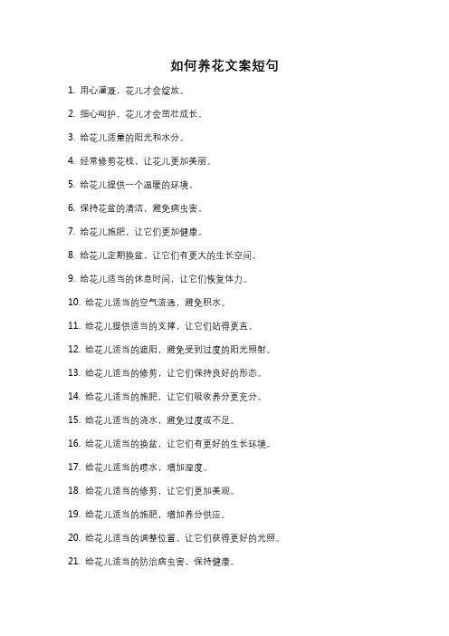 如何养花文案短句
