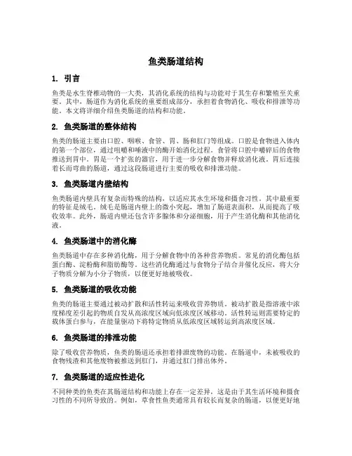 鱼类肠道结构