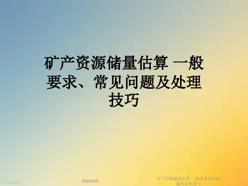 矿产资源储量估算-一般要求常见问题及处理技巧