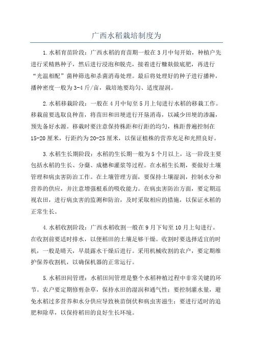 广西水稻栽培制度为