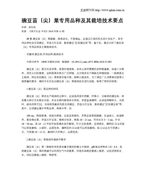 豌豆苗(尖)菜专用品种及其栽培技术要点