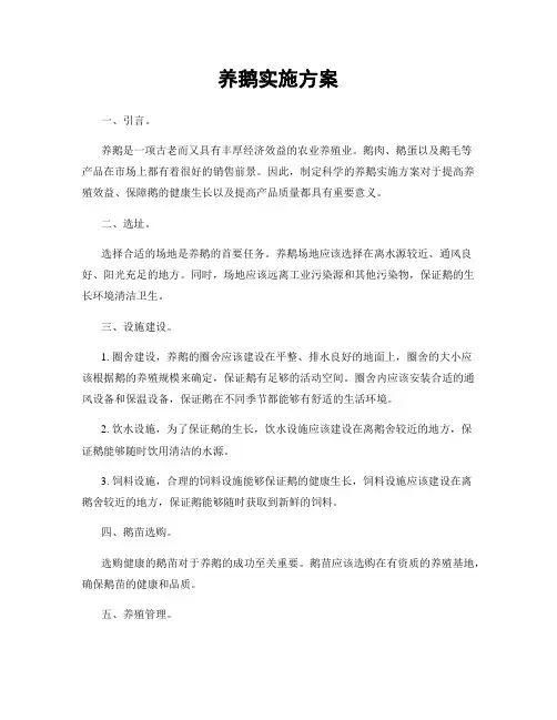 养鹅实施方案
