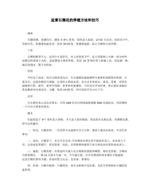 盆景石榴花的养殖方法和技巧