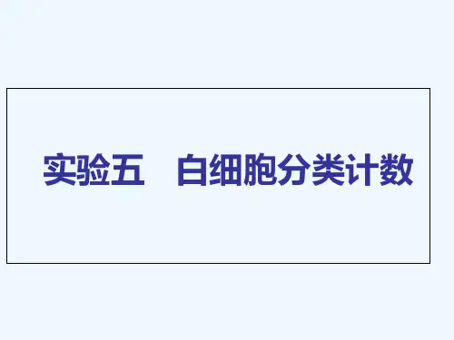 实验五-白细胞分类计数