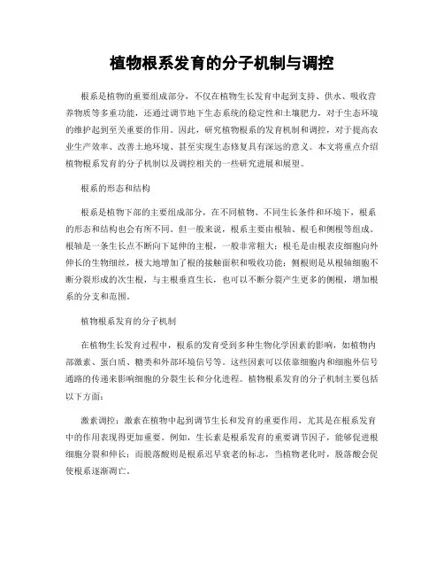 植物根系发育的分子机制与调控