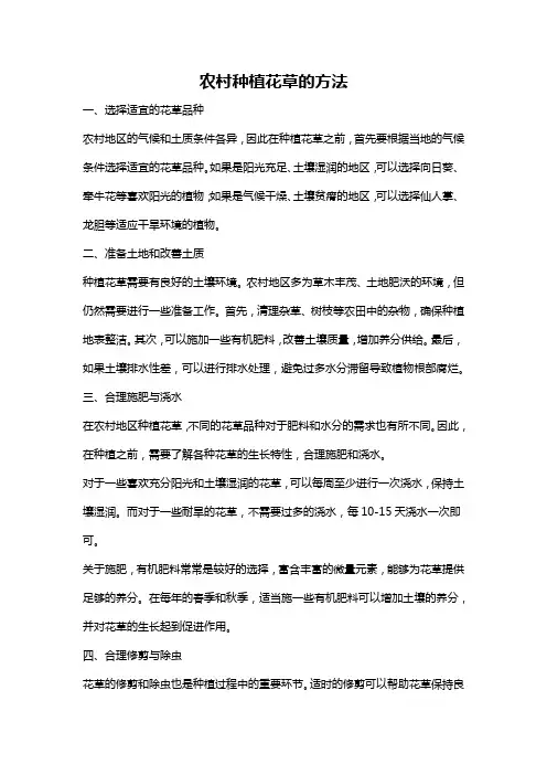 农村种植花草的方法