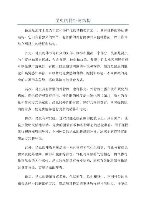 昆虫的特征与结构