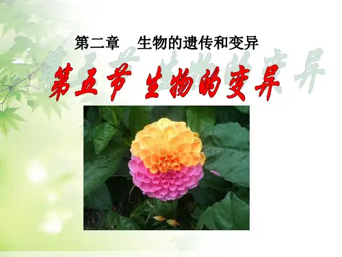 《生物的变异》生物的遗传和变异2-人教版八年级生物下册PPT课件