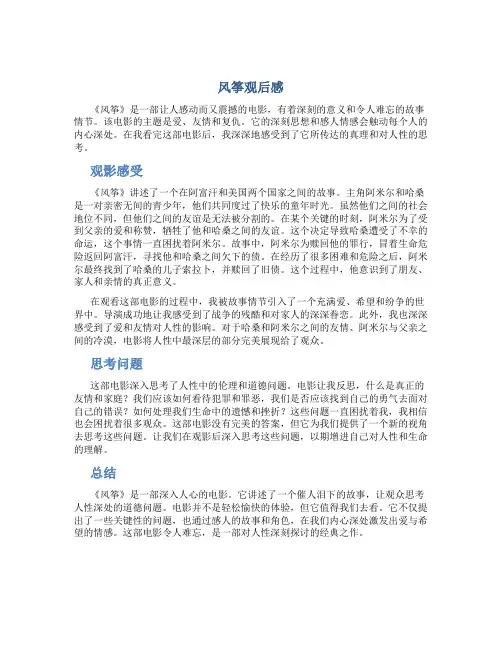 风筝观后感字观后感