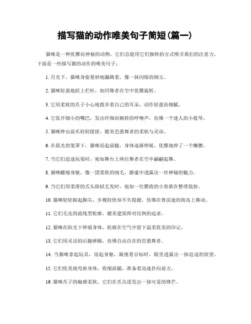 描写猫的动作唯美句子简短(精选2篇)