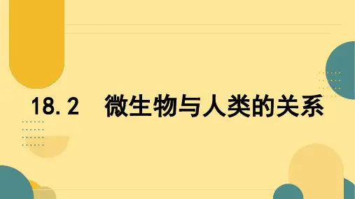 〖生 物〗微生物与人类的关系-2024-2025学年八年级生物上册(北师大版)