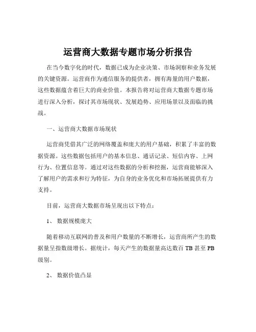 运营商大数据专题市场分析报告