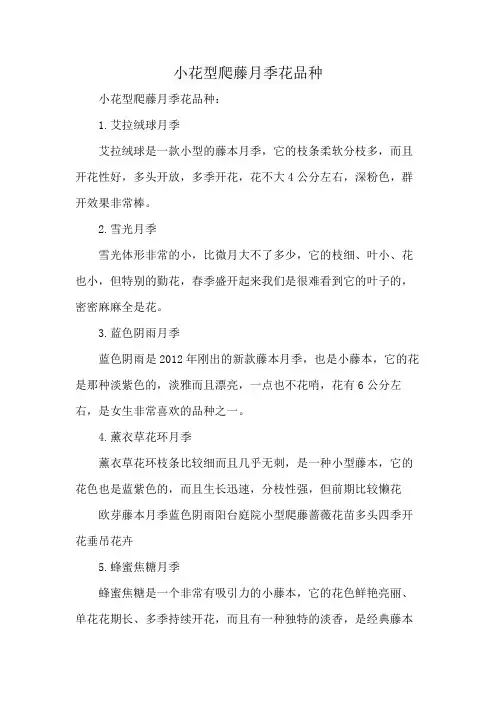 小花型爬藤月季花品种