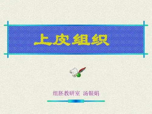 02上皮组织(临本)