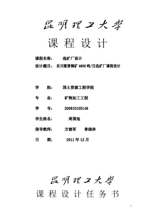 选矿厂设计报告
