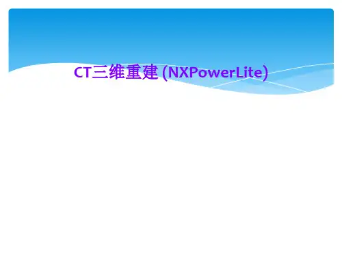 CT三维重建 (NXPowerLite)