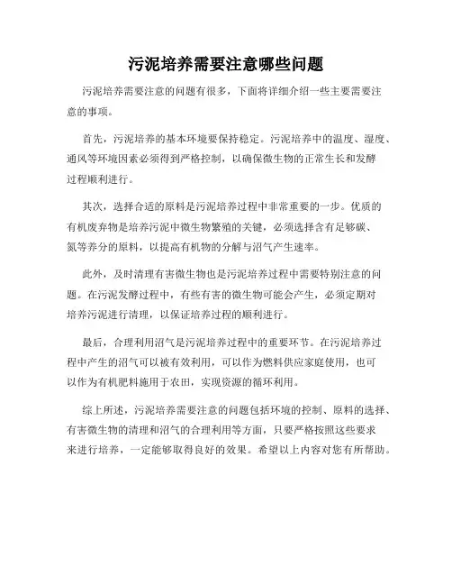 污泥培养需要注意哪些问题
