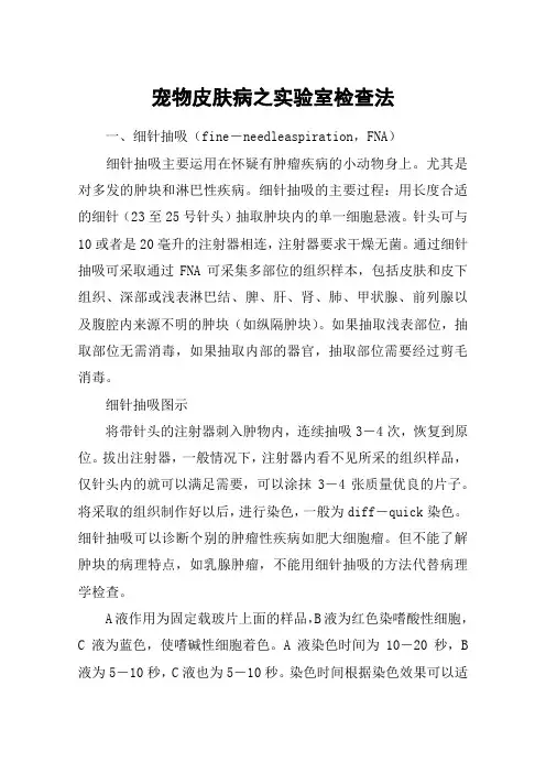 宠物皮肤病之实验室检查法