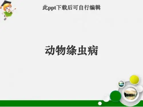 动物绦虫病ppt课件