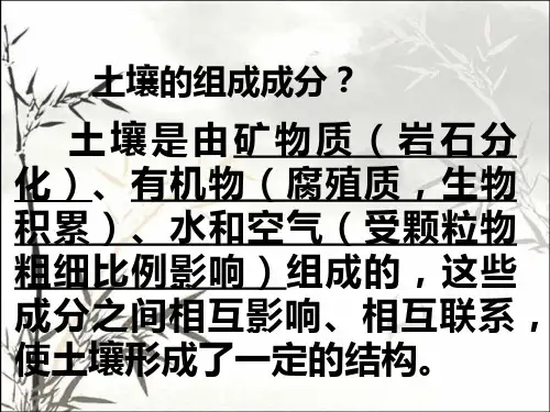 科学《土壤与植物》PPT