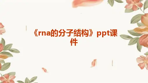 《RNA的分子结构》课件