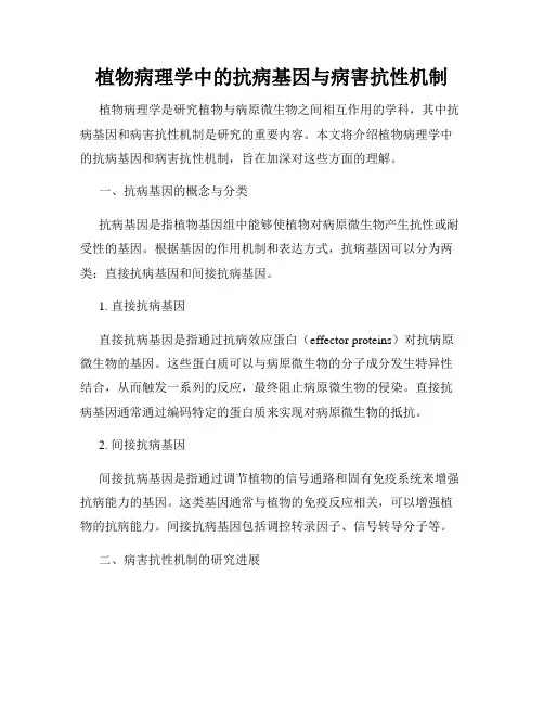 植物病理学中的抗病基因与病害抗性机制