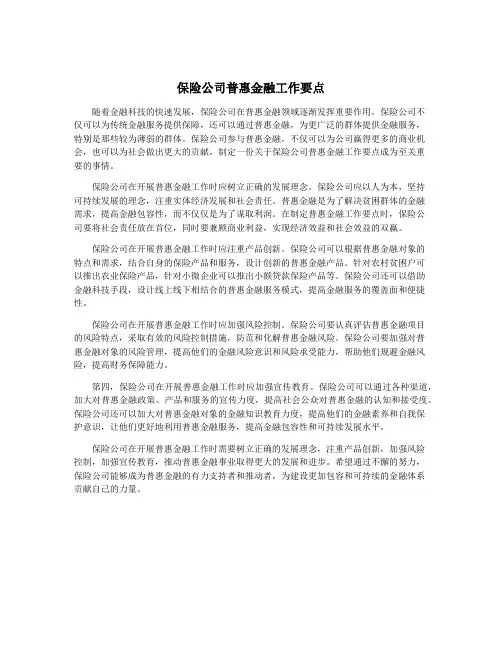 保险公司普惠金融工作要点