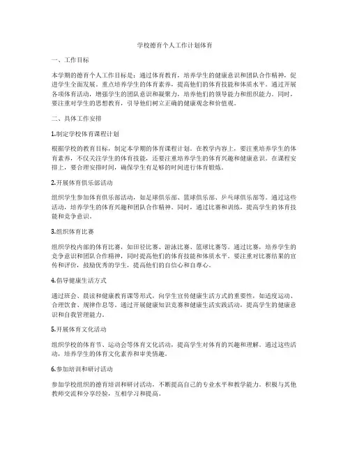 学校德育个人工作计划体育