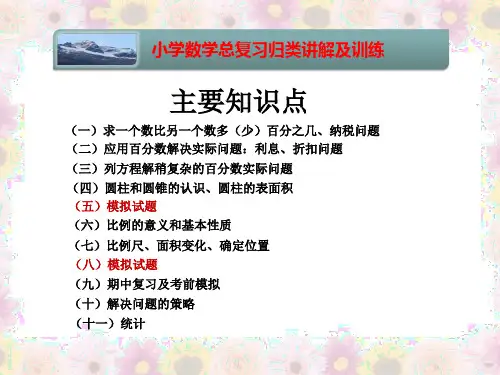 小学数学知识点分类讲解及训练(含例题解析)