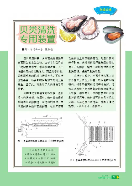 贝类清洗专用装置