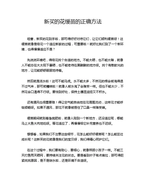 新买的花缓苗的正确方法