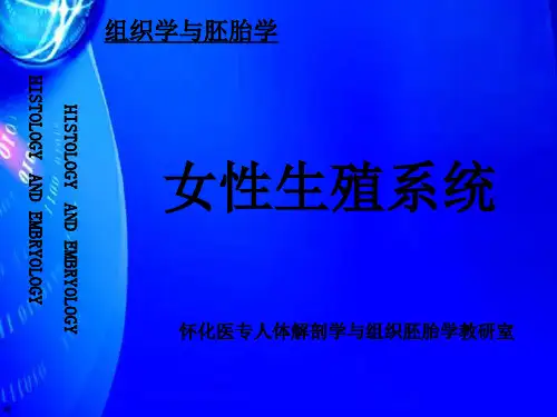 《女性生殖系统》PPT课件